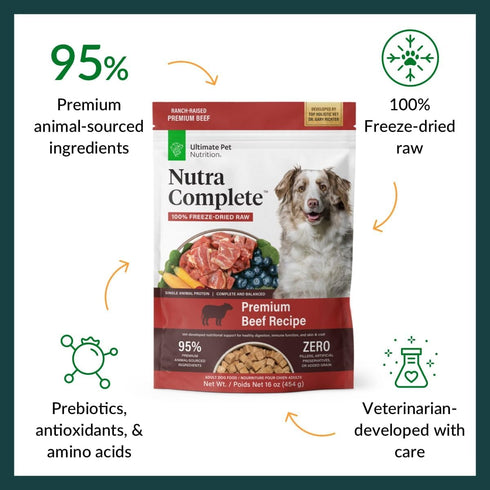 ULTIMATE PET NUTRITION Nutra Complete Raw Dog Food, 100% Freeze Dried, Beef, 1 Pound with Antioxidants