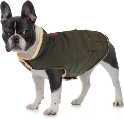 Queenmore Warm Dog Coat, Cold Weather Puffer Jacket with Ultra Thick Plush Lining (Green, Large)