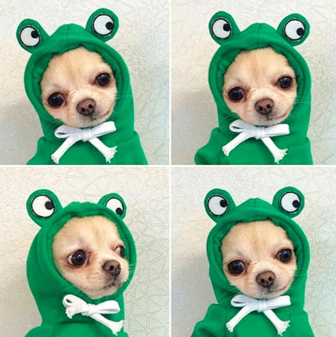 XIAOYU Pet Clothes Dog Hoodies, Warm Sweatshirt Coat for Puppy Autumn Winter, Jumpsuit with Eye Hood, Frog, XXL
