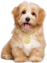 FUNKA Gold Chain Dog Collar - Adjustable Cuban Link Necklace with Crystal Dollar Sign Pendant for Cute Fashion Pet