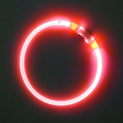 BSEEN Light Up Dog Collar - Rechargeable LED Dog Collar, 360° Glow in The Dark Pet Collar for Night Walking (Red 70cm)