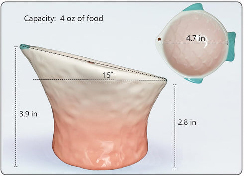 Raised Tilted Ceramic Cat Food Bowl, Cute Pink Fish Shape Elevated Dish for Kitty Feeding, Anti Vomiting