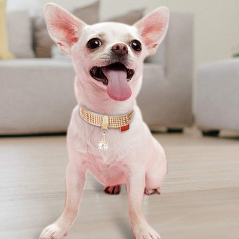 PetsHome Cat Collar and Dog Collar, Bling Rhinestones Premium PU Leather with Pendant, Adjustable Collars for Big Cat