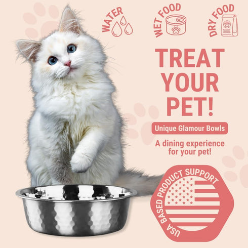 2pcs Stainless Steel Dog Bowls: Hammered Thickened Metal Feeding or Water Bowls for Small/Medium/Large Dogs & Cats