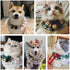 AOPET Stuffers Pet Christmas Sweet with Bell Bandana CostumeCat Dog Cute Lace Princess Saliva Towel Dog bib Scarf bib