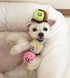 Ice Cream Puzzle Toy for Dogs, Hide and Seek Toy for Puppy Sniffing Balls, Cute Food Plush Toy for Small and Medium