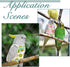 6Pcs 6 SUPERFINDINGS Styles Bird Flight Suits Diapers Reusable Parrot Nappy with Washable Waterproof Cute Urine Wet