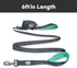 Black Rhino Heavy Duty Dog Leash, 6 ft Long, Double Handle, Padded Traffic Control, Reflective, Aqua