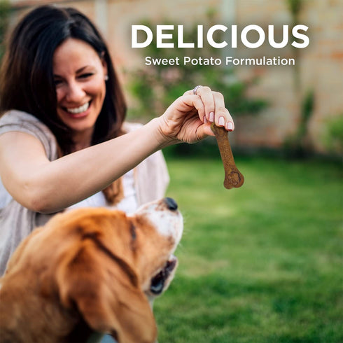 Fruitables Bioactive Dental Chews - Gluten and Grain-free Dental Treat for Medium Dogs - 10 count
