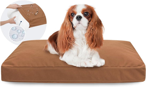 Miguel Durable Canvas Dog Bed, Waterproof with Removable Washable Cover, 14 Ounce Canvas Pillow for Large Medium Small