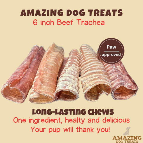 Amazing Dog Treats - 6 Inch Beef Trachea Dog Chews (5 pcs - 8 oz) - Trachea Dog Treats - NO Hide - Digestible and Safe Chews for Dogs - Glucosamine and Chondroitin for Dogs Joint Health