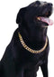 Gold Chain Dog Collar - 3/4 Width Cuban Link Necklace, Cute Fashion Pet Collar for Pit Bulldog, Light Metal Jewelry