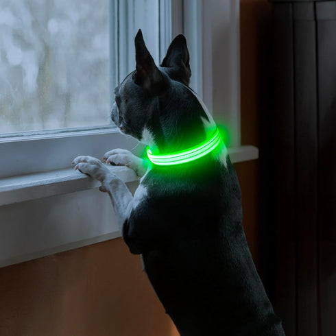 Light Up Dog Collars Rechargeable, Reflective LED Glow Dark Dog Collar for Small Medium Large Dogs, Adjustable Pet Dog Lights for Safe Night Walk-Green, Large