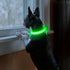 Light Up Dog Collars Rechargeable, Reflective LED Glow Dark Dog Collar for Small Medium Large Dogs, Adjustable Pet Dog Lights for Safe Night Walk-Green, Large