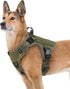 rabbitgoo Tactical Dog Harness for Large Dogs, Heavy Duty No-Pull Vest for Training, Green XL