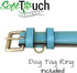 Medium Size Leather Dog Collar - Turquoise with Beige Padding