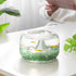 T4U 1LB Crystal Chips Stone Crushed Quartz Jade Pebbles - Fluorite Tumbled Gravel Small Decorative Pebbles Bulk, Mini