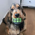 Dog Balls Toys Squeaky Fetch - Rubber Funny Ball Gifts for Large, Medium Dogs (Variety Pack)