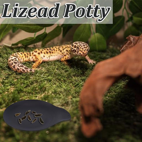 10Pcs Leopard Gecko Potty Pad Plastic Potty Latrine/Plate Reptile Lizard Gecko Latrine Trays Carpet Liner Terrarium Mat