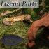 10Pcs Leopard Gecko Potty Pad Plastic Potty Latrine/Plate Reptile Lizard Gecko Latrine Trays Carpet Liner Terrarium Mat