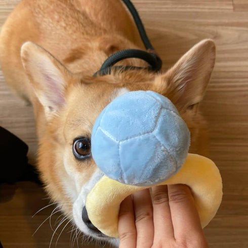 Squeak Plush Toy, Diamond Ring Case, Stuffed Pet Chew Soft Supplies Dog Toy for Dog Wedding