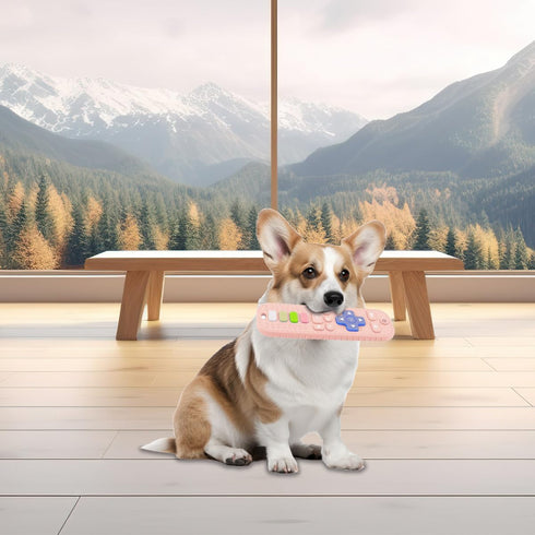 2 PCS Dog Teething Toys, Remote Control Shape Teether for Dog Training and Cleaning Teeth, Interactive Dog Toys for