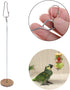 Zaagot Bird Food Holder Parrot Fruit Vegetable Skewer Hanging Feeder Toy Stainless Steel Feeding Tool Keeping Cage