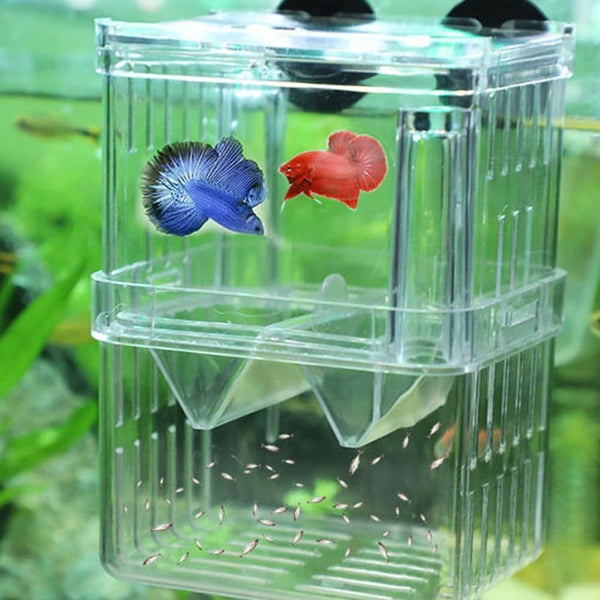 Quaziret Aquarium Fish Breeder Box Plastic Fish Isolation Breeding Box Hatching Incubator Box