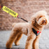 JXGZSO Training Ignore Do Not Stare Reactive Dog Leash Sleeve, Do Not Pet Training Dog Leash Wrap