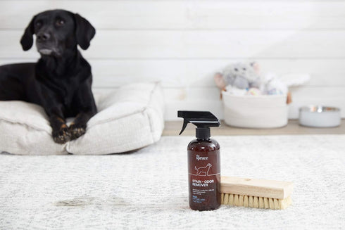 17 oz The Spruce Pet Stain & Odor Remover - Plant-Derived Enzyme-Based Cleaner for Dog and Cats Urine, Feces, Vomit
