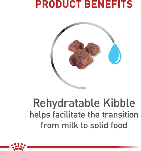 Royal Canin Feline Health Nutrition Mother & Babycat Dry Cat Food for Newborn Kittens and Pregnant or Nursing Cats, 6