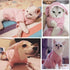 ANIAC Dog Hoodies Sweatshirt with Bunny Ears, Spring Puppy Clothes for Small Dog Girl Boy, Soft Sweater (Large, Pink)