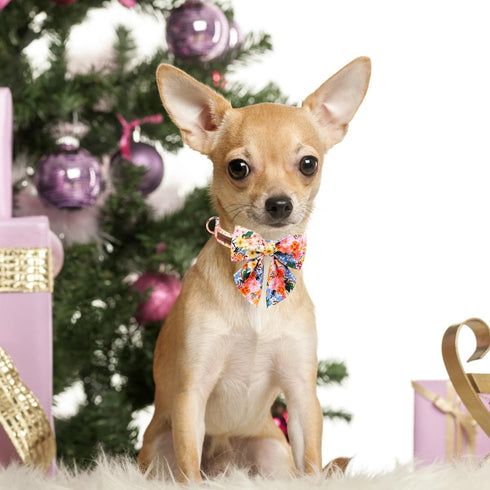 Unique Style Paws Cartoon Dog Collar, Spring Summer Bow Flower Collar for Small Medium Large Boys and Girls Dogs