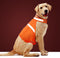 Dog Jacket High Visibility Reflective Vest for Small Medium Large Dogs (Large, Orange)