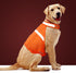 Dog Jacket High Visibility Reflective Vest for Small Medium Large Dogs (Large, Orange)
