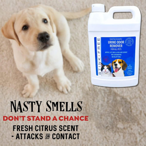 Pet Urine Odor Eliminator and Remover for Cat and Dog Urine, 128 Oz (1 Gallon) - Oxidizer Based Pee Cleaner for Carpets