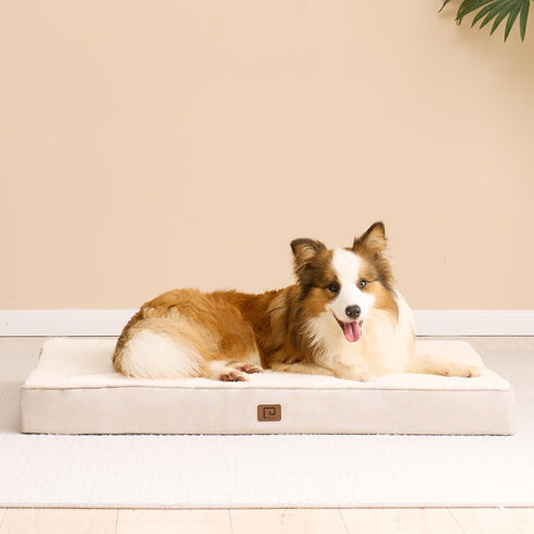 EHEYCIGA Orthopedic XL Dog Bed for Extra Large Dogs with Removable Washable Cover, Camel, 44x32
