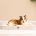EHEYCIGA Orthopedic XL Dog Bed for Extra Large Dogs with Removable Washable Cover, Camel, 44x32