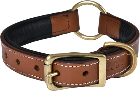 Genuine Leather Adventure Dog Collar, Full Grain Heavy Duty, Inner Cushioned Padding, Medium, Large & XL Dogs, Brown