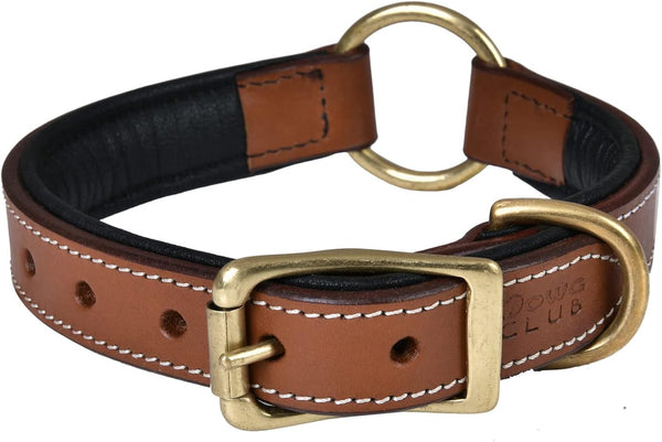 Genuine Leather Adventure Dog Collar, Full Grain Heavy Duty, Inner Cushioned Padding, Medium, Large & XL Dogs, Brown