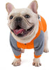 Bulldog Dog Clothes Sweater for Pets, Dog Clothing in Orange (L)