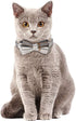Faleela Breakaway Cat Collar with Bells - 2 Pack Adjustable Cat Collars with Bandana, Accessories for Cats and Small