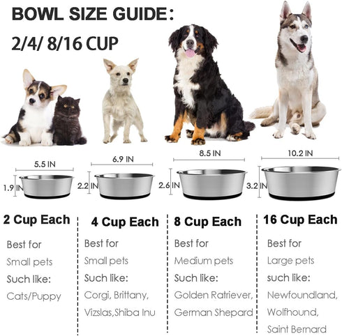 5mm Thick Stainless Steel Dog Bowls, Non-Slip with Silicone Base, 4 Cups Food Grade BPA Free, 2 Pack
