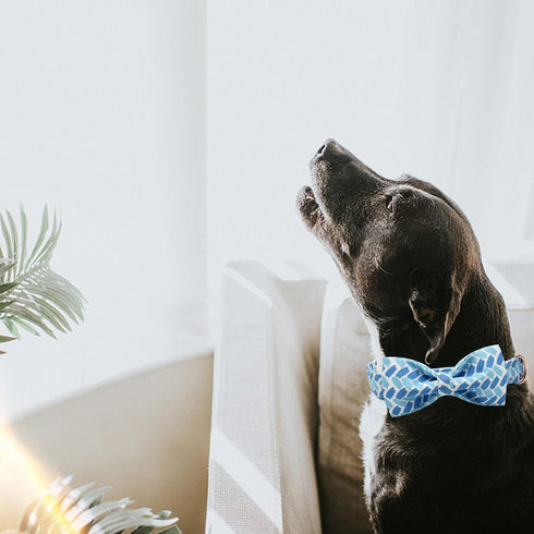 Adjustable Blue Print Dog Bow Collar, Durable Bowtie for Small Medium Large Dogs