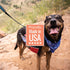 Smart Cookie Salmon Jerky Dog Treats - DHA, Omega Strips for Dogs & Puppies, 3oz Bag, Pack of 3