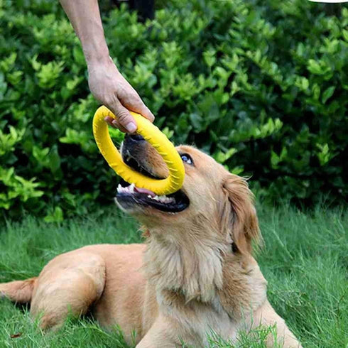 Dog Chew Toys, Training Ring for Outdoor, Dog Flying Disc Floating Ring for Small Medium Large Dogs