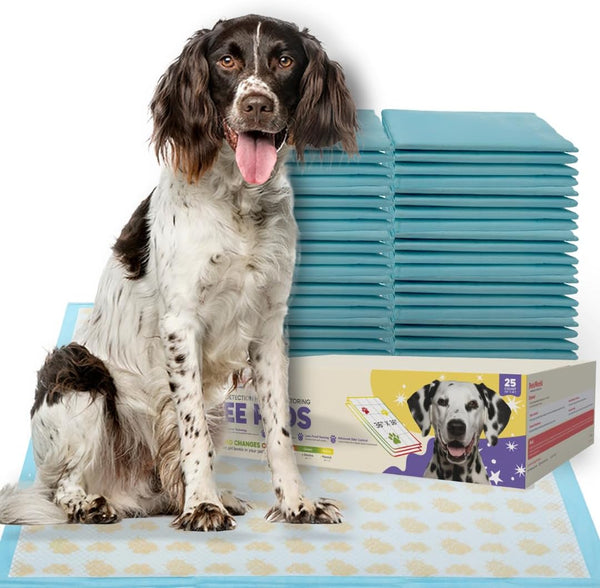 PETSWORLD Giant Dog Potty Pads, Odor-Eliminating, 36" x 36", Ultra Absorbent 5-Layer