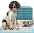 PETSWORLD Giant Dog Potty Pads, Odor-Eliminating, 36" x 36", Ultra Absorbent 5-Layer