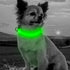 BSEEN Adjustable LED Dog & Cat Collar - Green, Rechargeable, Small Breeds, 8.5-11.8 inches, Lightweight, Reflective, 2