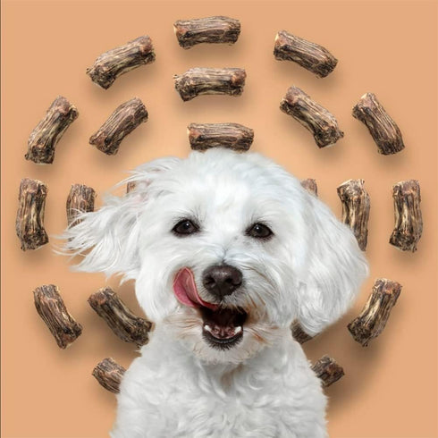 ROAM Pet Treats Ossy Cuts – Ostrich Neck Dog Chew for Small to Medium Dogs, 1.4 Ounce (Pack of 3)